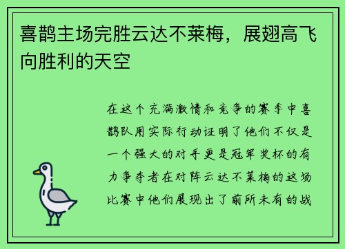 喜鹊主场完胜云达不莱梅，展翅高飞向胜利的天空